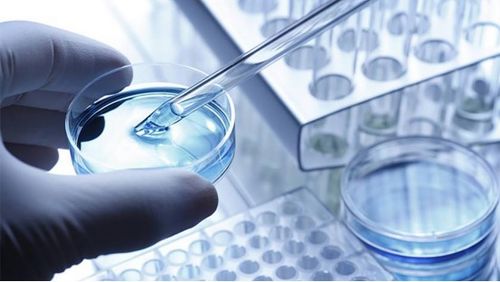 龍池牡丹 緊抓二產，深挖科研，以技術服務驅動牡丹精品駛入市場藍海