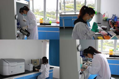 歐易訪談 專注生物技術(shù)服務(wù)，以技術(shù)開發(fā)驅(qū)動(dòng)質(zhì)量與體驗(yàn)雙提升